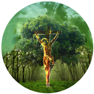 Jesus and the Tree of Life - The Bible: Uncovered